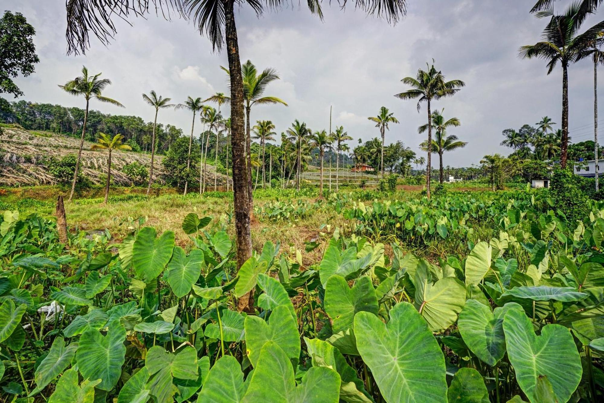 Spot On Shalom Palace Residency Neriyamangalam Экстерьер фото