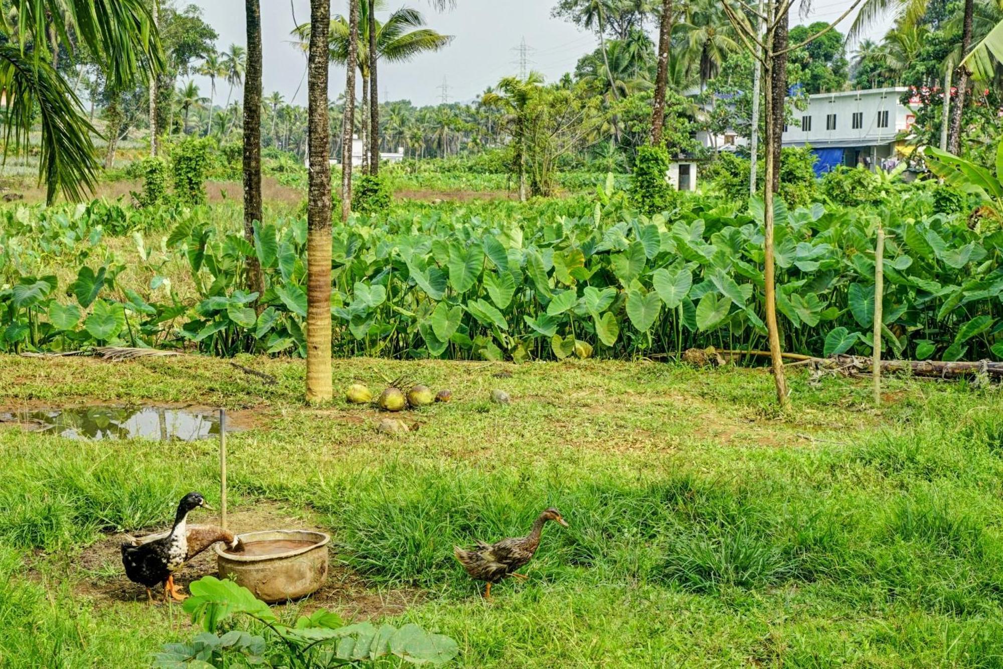 Spot On Shalom Palace Residency Neriyamangalam Экстерьер фото